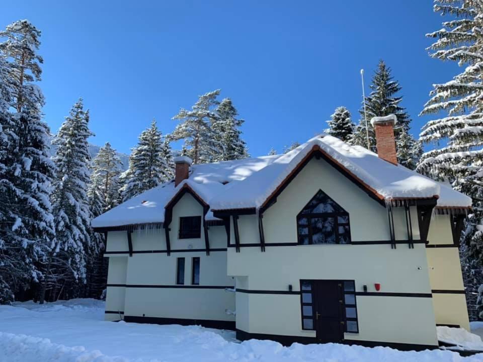 Berghof Eva - Hotel 파니치슈테 외부 사진