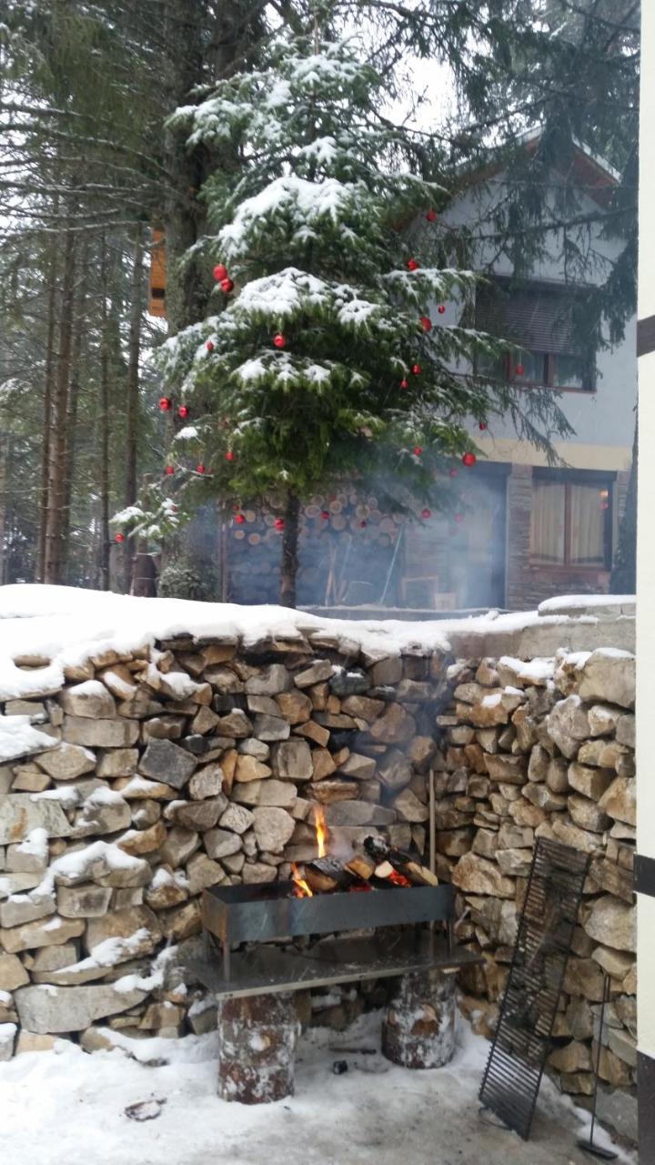 Berghof Eva - Hotel 파니치슈테 외부 사진